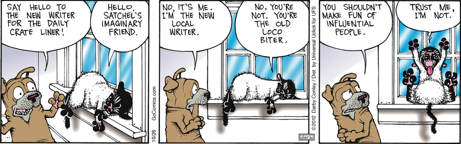 fuzzy